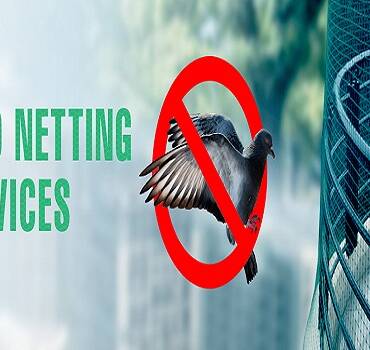 Bird Netting Services