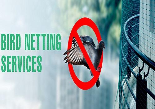 Bird Netting Services