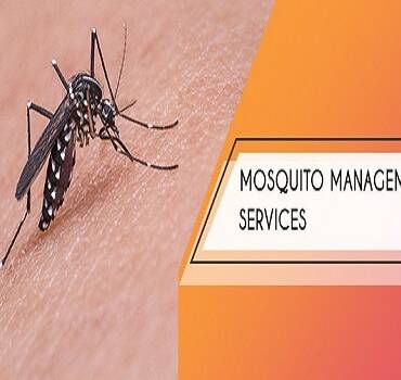 Mosquito Control Service