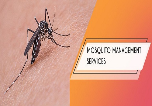 Mosquito Control Service